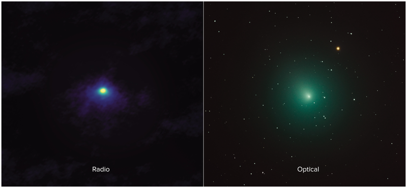 46P/Wirtanen as seen in the radio and optical wavelengths.